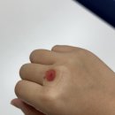 해태사랑약국 | 11월 1주 photo dump : 홍제천 폭포카페 서대문가을나들이 노량진해태기아 누어침대프레임 설치후기