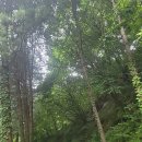 원주굽이길 원11코스 다둔인벌길 이미지