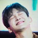 뱅갈냥이 이미지