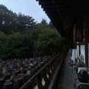 너른마당 이미지