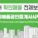 파인애플공인중개사사무소 네이버블로그