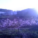 가나안농원 이미지