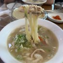 춘계면옥 | [춘천 춘계면옥] 🐔🍜국물 진했던 닭칼국수 맛집 내돈내산 후기
