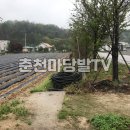 해안면사무소 이미지