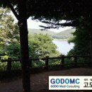 고도메디컨설팅