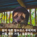 둥지농장 | 인도네시아 발리 루왁커피 추천 가격 선물 농장투어 후기