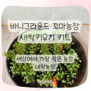 새싹유치원 | 세상에서 가장 작은 농장｜바니그라운드 꼬마 농장 새싹키우기 키트 후기