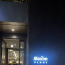 맥심 | 한남동 카페 맥심플랜트 카페 주차 정보 방문 후기