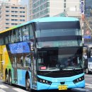 선일초등학교 이미지