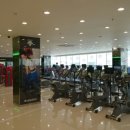 짐유어짐 이미지