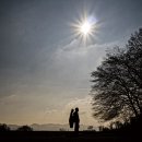 모차르트 피아노 소나타 전곡 Ⅱ 이미지