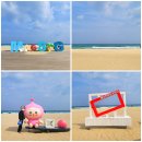 동해오토랜드 | 강원도 동해 가볼만한곳 망상해변 조용한 바다 드라이브 코스 추천