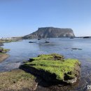 제주의 이유 이미지