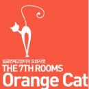 일곱번째고양이펜션