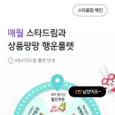착실한베짱이 이미지