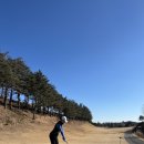 효창스크린골프 | 4개월차 골린이 골프비용 리뷰💸