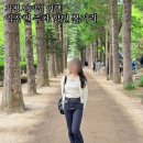 제이유할인마트 | 가평 남이섬 입장권 주차 할인 배 시간표 놀거리 정리