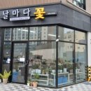 날마다꽃