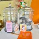 오렌지 칠(orange chill) | [반려견동반] 세종, 오렌지 칠 Orange Chill