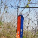 고랑포길 이미지