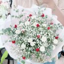 한아름플라워스튜디오
