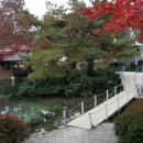 모둘자리 이미지