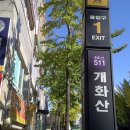 개화산역 1번출구 이미지