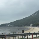 만능공사 | 해루질장비 추천템 튼튼한 악어집게 뱀집게 스텐악어만능집게 찐사용후기