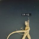 수도119군포점 이미지