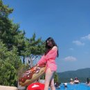 세리 이미지
