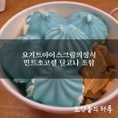 달고나아이스크림 | 요아정(요거트아이스크림의정석) 민트초코쉘, 달고나 조합 내돈내산 솔직후기