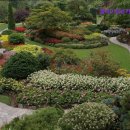 엠케이렌트카 이미지