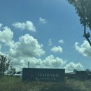 플라밍고C.C | ⛳ 충남 당진 플라밍고CC 골프장 250830 리버-링크스 라운딩 2부 후기