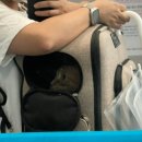 베리굿동물병원 이미지