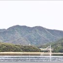 파라호 이미지