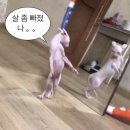 네오 | 정우 선배가 끌리는 이유는?