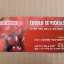 대철네