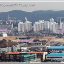 수원-0978 Daum카페