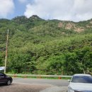 대추나무민박 이미지