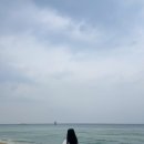 강릉커피콩빵강릉당초당점 이미지