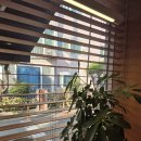 거학초교 | 부산 교대 밥집 돈카츠 맛집 츠카츠카 솔직후기