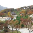 파주드라이브 이미지