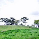 근흥목장 이미지