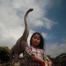 자동차랜드 이미지