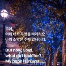 소망의문 이미지