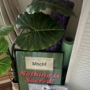 (주)리앤피드 | 25년 7월 일기 - 1