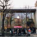 가로수길 이미지