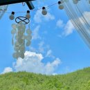 사시장청 이미지