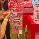 &lt;2023 컬리 푸드 페스타&gt; 마켓컬리 제품들 싹쓸이한 후기(2) 입점 부스 소개