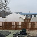 피플앤독 | 후기가 별로 없어 직접 가본 충남 예산 [피플앤독느티캠핑장]